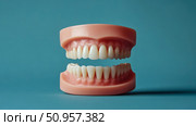 A meticulously crafted dental model showcasing a healthy human jaw with pristine white teeth and pink gums, ideal for educational demonstrations in dentistry or medical communication for general oral. Стоковое AI-изображение, AI-художник Данила Большаков / Фотобанк Лори