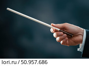 A conductor's hand grasps a white baton with confidence, showcasing subtle vein details. The dark wooden handle adds an element of elegance, embodying authority and finesse in orchestral leadership. Стоковое AI-изображение, AI-художник Nart / Фотобанк Лори