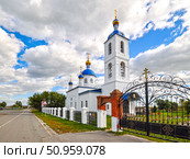 Церковь в честь Рождества Христова. Село Слобода-Бешкиль. Исетский район. Тюменская область (2018 год). Стоковое фото, фотограф Александр Тараканов / Фотобанк Лори