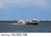 Судно на подводных крыльях рассекает волны Финского залива. Стоковое фото, фотограф Сабурский Максим / Фотобанк Лори