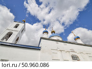 Церковь в честь Рождества Христова. Село Слобода-Бешкиль. Исетский район. Тюменская область (2018 год). Стоковое фото, фотограф Александр Тараканов / Фотобанк Лори