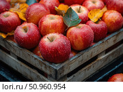 Fresh red apples with dew drops in a wooden crate, decorated with autumn leaves. The photo conveys the atmosphere of a fruitful autumn and natural rural aesthetics. Natural colors, bright peel texture, detailed close-up shot. Perfect for themes of gastronomy, organic food, farm products, autumn marketing and packaging design. Стоковое AI-изображение, AI-художник Анна Кривицкая / Фотобанк Лори