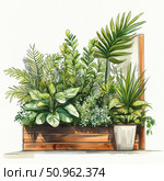 Watercolor illustration depicting a lush composition of indoor plants in wooden and ceramic flowerpots against a window. The variety of shapes and shades of greenery creates an atmosphere of coziness, freshness and harmony. Ideal for themes of ecology, botany, home interior, gardening and plant decor. Стоковое AI-изображение, AI-художник Анна Кривицкая / Фотобанк Лори