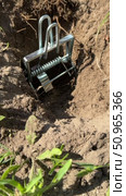 Man installing mole trap into animal burrow. He covers the trap with earth. Galvanized steel mole trap. Set in burrow and covered with soil. Vertical video. Close-up. Стоковое видео, видеограф Vadzim Yakubovich / Фотобанк Лори
