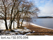 Берег Озернинского водохранилища зимой. Рузский муниципальный округ, Московская область. (2020 год). Стоковое фото, фотограф Диана Лукьянова / Фотобанк Лори