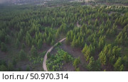 Дорога в лесу в горах. Стоковое видео, видеограф Степан Столбовский / Фотобанк Лори