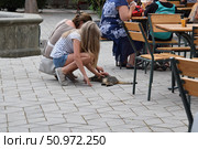 Девочки гладят уличного кота, который лежит на мостовой около уличного кафе. Стоковое фото, фотограф Дмитрий Сакретарев / Фотобанк Лори