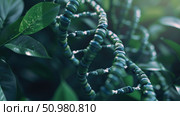 Close-up view of unique spiral tendrils wrapping around themselves against a backdrop of vibrant green foliage. Стоковое AI-изображение, AI-художник Данила Большаков / Фотобанк Лори