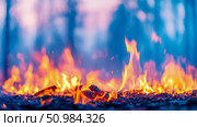 Vibrant and fiery scene of a ground fire with intense orange-red flames and smoldering embers, set against a soft, out-of-focus blue and purple twilight forest backdrop. Стоковое AI-изображение, AI-художник Данила Большаков / Фотобанк Лори