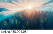 Sunrise over Misty Mountain Forest: An Aerial View of Sunbeams through Evergreens. Стоковое AI-изображение, AI-художник Данила Большаков / Фотобанк Лори