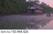 Misty sunrise enveloping mangrove tree roots and weathered wooden hut, revealing atmospheric coastal landscape with soft, ethereal lighting and rich natural textures. Стоковое AI-видео, аниматор Данил Руденко / Фотобанк Лори