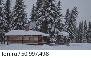 Wooden log cabin nestled among snow blanketed pine trees, emitting wisps of smoke from chimney, suggesting warmth and tranquil winter serenity. Стоковое AI-видео, аниматор Данил Руденко / Фотобанк Лори