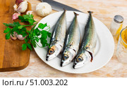 Raw mackerel fish served to table. Стоковое фото, фотограф Яков Филимонов / Фотобанк Лори