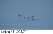 Helicopters performing synchronized flight maneuvers. Стоковое видео, видеограф Данил Руденко / Фотобанк Лори