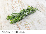 Fresh green estragon aroma stem. Стоковое фото, фотограф Андрей Старостин / Фотобанк Лори