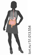 Female silhouette with simplified gastrointestinal tract. Стоковое фото, фотограф Elise Walmsley-MacWha/Stocktrek Images / ТАСС / Фотобанк Лори