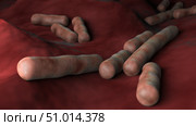 Microscopic view of Clostridium perfringens bacteria. Стоковое фото, фотограф Stocktrek Images, Inc. / ТАСС / Фотобанк Лори