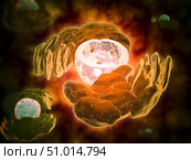 Conceptual image of endoplasmic reticulum around a cell nucleus. Стоковое фото, фотограф Stocktrek Images, Inc. / ТАСС / Фотобанк Лори