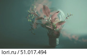 Innovative concept of nature and technology merging in a light bulb with leaves symbolizing sustainability and creativity. Стоковое AI-видео, аниматор Сергей Толмачёв / Фотобанк Лори