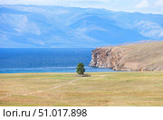 Baikal Lake in July. Beautiful landscape with lonely green birch tree on shore of Small Sea bay in steppe field of Olkhon Island. Local residents call this birch Tree of Strength for its harsh survival conditions. Стоковое фото, фотограф Виктория Катьянова / Фотобанк Лори