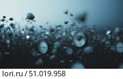 Clocks amidst cotton flowers create a surreal landscape in a dreamlike setting. Стоковое AI-видео, аниматор Сергей Толмачёв / Фотобанк Лори