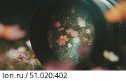 Capturing floral beauty through a camera lens in a vibrant garden. Стоковое AI-видео, аниматор Сергей Толмачёв / Фотобанк Лори