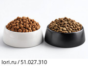 Brown Kibble Pet Food in Two White and Black Bowls. Lot of Dry Granules of Crunchy Dog or Cat Food. Animal Feed Pile. Pet Shop, Delivery. Healthy Treat. Feline Feeding. Domestic Animals Food Banner. Стоковое AI-изображение, AI-художник Марина Демидюк / Фотобанк Лори