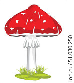 Poisonous mushroom fly on white background is insulated. Стоковая иллюстрация, иллюстратор Шипицин Евгений Витальевич / Фотобанк Лори