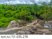 Picturesque mountain landscape with a small waterfall flowing between stone boulders surrounded by dense tropical vegetation. In the background are hills covered with green forest under a cloudy sky. The atmosphere of a wild corner of nature conveys the tranquility and beauty of an untouched world. Стоковое фото, фотограф Анна Кривицкая / Фотобанк Лори