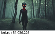 A shadowy figure with glowing eyes appears along a dark forest trail surrounded by tall trees and fog during twilight. Стоковое AI-видео, аниматор Данила Большаков / Фотобанк Лори