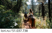 Horseback riders explore a scenic forest trail on a sunny day surrounded by tall trees and vibrant greenery. Стоковое AI-изображение, AI-художник Сергей Толмачёв / Фотобанк Лори