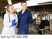 Farmer woman talking to veterinarian in cowshed. Стоковое фото, фотограф Яков Филимонов / Фотобанк Лори