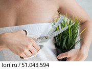 Unrecognizable woman shears a potted plant with scissors. Close-up depilation of armpits. Faceless girl removes unwanted vegetation on the body. Armpit epilation concept. Cropped photo. Стоковое фото, фотограф Михаил Решетников / Фотобанк Лори