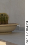 Minimalist architecture featuring geometric salmon-pink buildings against clear blue sky Large cactus in rooftop planter outside modern glass building with city skyline behind. Стоковое видео, видеограф Zita Khasanova / Фотобанк Лори