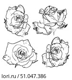 Graphics, roses. Black and white sketch of a rose. Floral illustration. Стоковая иллюстрация, иллюстратор Анищенко Геннадий / Фотобанк Лори