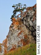 Сосна на скале среди камней и травы (2010 год). Редакционное фото, фотограф Николай Кузнецов / Фотобанк Лори