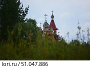 Купола деревянной православной церкви среди зелёных зарослей. Стоковое фото, фотограф Николай Кузнецов / Фотобанк Лори
