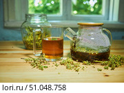 A glass teapot and a cup with brewed medicinal herb. Dried Labaznik plant. Folk and natural medicine. Стоковое фото, фотограф Наталия Кирсанова / Фотобанк Лори