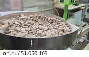 Vibrating device mechanism for automatic sorting and feeding of small round wooden discs in woodworking process. Стоковое видео, видеограф Елена Никишина / Фотобанк Лори