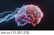 Understanding brain activity through dynamic visual representation of electrical impulses in human cognition. Стоковое AI-видео, аниматор Сергей Толмачёв / Фотобанк Лори