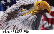 Мощный американский орёл на фоне флага США. Стоковое AI-видео, аниматор Владислав Войтов / Фотобанк Лори