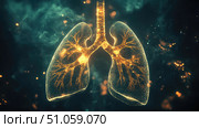 evolution morphing lungs ai generated. Стоковое AI-изображение, AI-художник Vectorwin / Фотобанк Лори