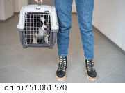 A woman is holding a travel cage with a dog inside. Holidays with a pet. Papillon dog butterfly. Стоковое фото, фотограф Михаил Решетников / Фотобанк Лори