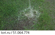 Water falling on wet ground and splashing on green grass. Стоковое видео, видеограф Андрей Знаменский / Фотобанк Лори