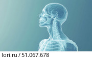 transmission x-ray of epidemiology model ai generated. Стоковое AI-изображение, AI-художник Vectorwin / Фотобанк Лори