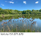 Лефортовский пруд в Лефортовском парке, Москва (2024 год). Стоковое фото, фотограф Мария Кылосова / Фотобанк Лори