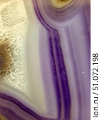 Macro photography of a cross-section of amethyst agate with distinct bands of lilac, violet, cream and white. On the left is a zone with a crystalline structure, where the agate turns into a druse with small quartz crystals. The central part of the frame stands out with smooth color transitions and translucent layers, creating the effect of depth. The texture of the mineral emphasizes the natural origin of the stone, and the combination of cold and warm tones gives the image harmony and expressiveness. Such a photo can be used in themes related to mineralogy, design, jewelry art or natural textures. Стоковое фото, фотограф Анна Кривицкая / Фотобанк Лори