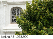 Gorokhovets, Russia - 07.20.2025. Green Foliage Surrounds Historic Window in Sretensky Monastery. Стоковое фото, фотограф Ольга Губская / Фотобанк Лори