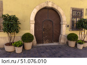 Rustic brown arched wooden door framed by stone and flanked by decorative potted plants. Стоковое фото, фотограф Виктор Ветошкин / Фотобанк Лори
