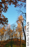 An autumn park with a hill covered in colorful foliage. Tall trees grow on the slopes, some of which have already shed their leaves, while others are still adorned with golden and orange crowns. Soft rays of sun shine through the branches, creating a warm glow and a play of shadows on the grass and fallen leaves. There are no clouds in the clear blue sky, which enhances the contrast between the sky and the autumn colors. At the top of the hill, silhouettes of people can be seen strolling and enjoying the sunny day. Стоковое фото, фотограф Анна Кривицкая / Фотобанк Лори